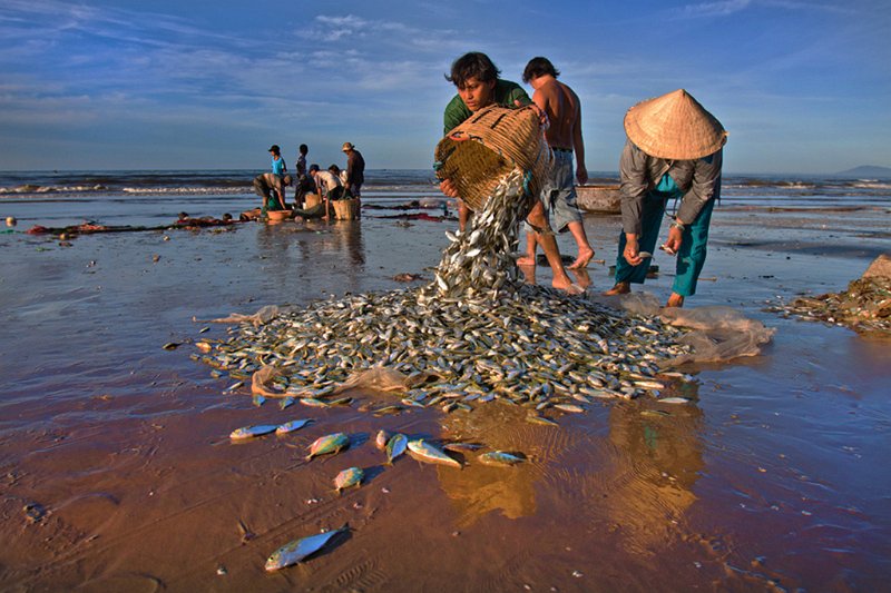 533 - the fishing activities - NGUYEN My Phuong - united states of america.jpg